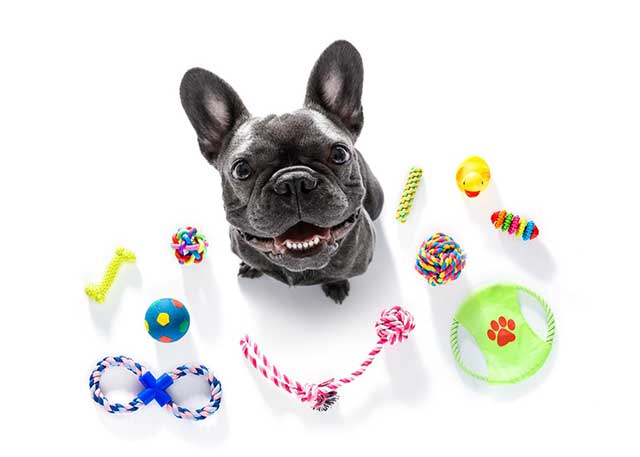 Recuperação-de-crédito-tributário-para-PetShop-como-funciona
